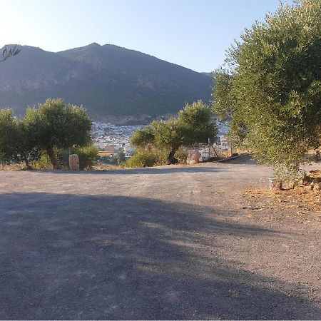 Villa El Mirador Альгодоналес Екстер'єр фото